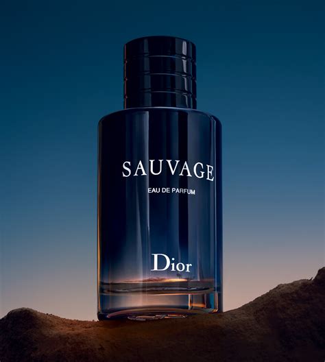 christian Dior male fragrance